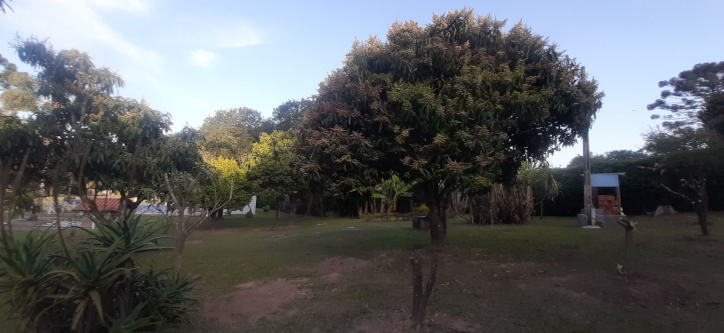 Fazenda à venda com 6 quartos, 400m² - Foto 74