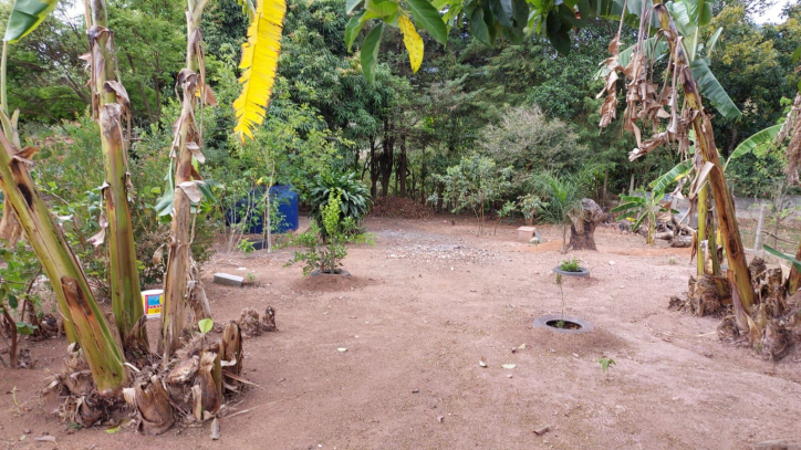 Fazenda à venda com 4 quartos, 162m² - Foto 51