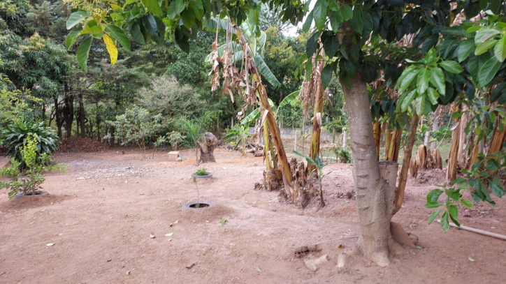 Fazenda à venda com 4 quartos, 162m² - Foto 52