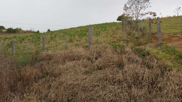 Fazenda à venda com 1 quarto, 100m² - Foto 7