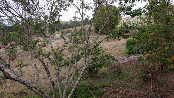 Fazenda à venda com 1 quarto, 100m² - Foto 13