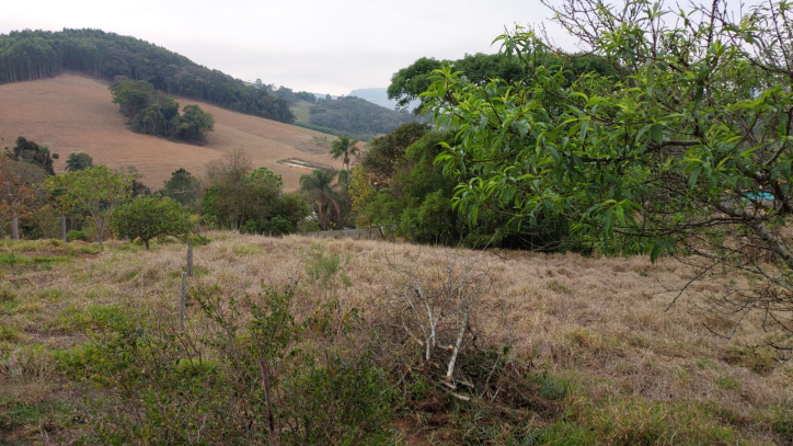 Fazenda à venda com 1 quarto, 100m² - Foto 14