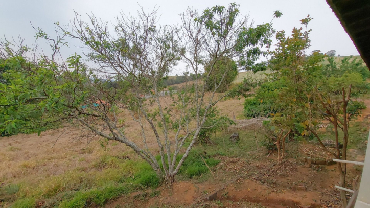 Fazenda à venda com 1 quarto, 100m² - Foto 16