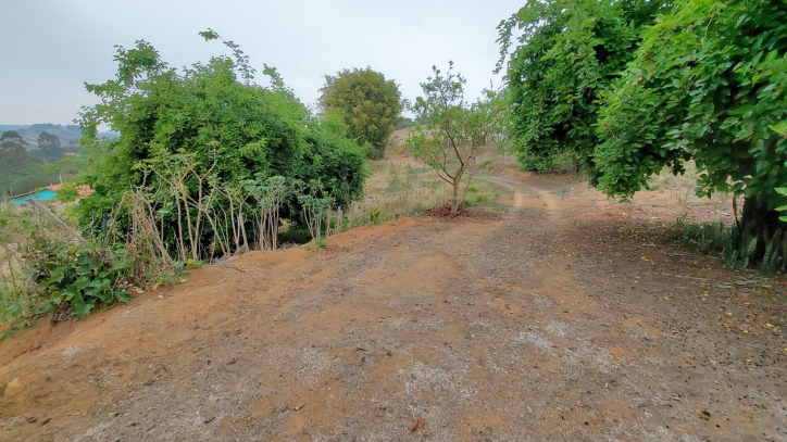 Fazenda à venda com 1 quarto, 100m² - Foto 19