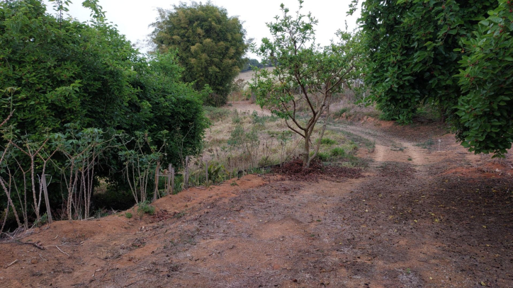 Fazenda à venda com 1 quarto, 100m² - Foto 21