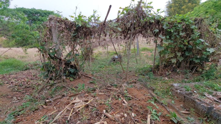 Fazenda à venda com 1 quarto, 100m² - Foto 36