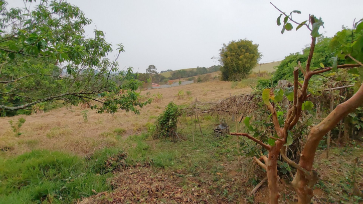 Fazenda à venda com 1 quarto, 100m² - Foto 39