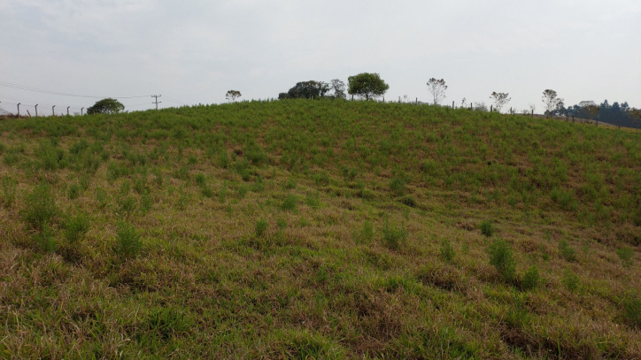 Fazenda à venda com 1 quarto, 100m² - Foto 40