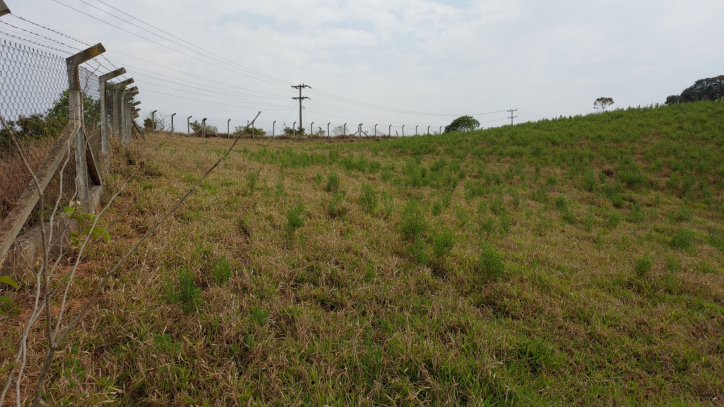 Fazenda à venda com 1 quarto, 100m² - Foto 41