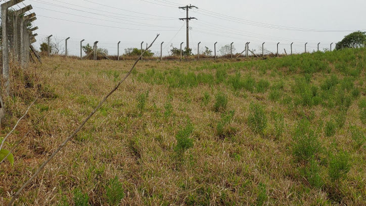 Fazenda à venda com 1 quarto, 100m² - Foto 42