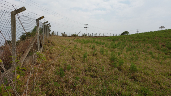 Fazenda à venda com 1 quarto, 100m² - Foto 43