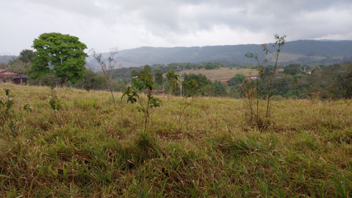 Terreno à venda, 9200m² - Foto 7