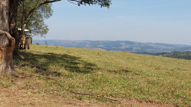 Fazenda à venda com 6 quartos, 500m² - Foto 124