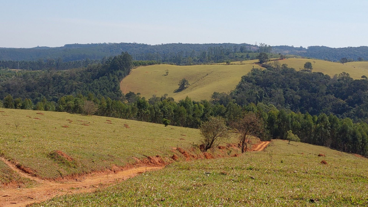 Fazenda à venda com 6 quartos, 500m² - Foto 127