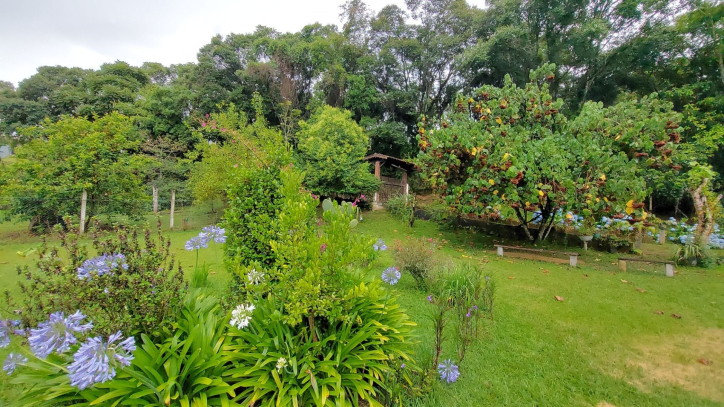 Fazenda à venda com 4 quartos, 450m² - Foto 2