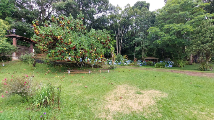 Fazenda à venda com 4 quartos, 450m² - Foto 3