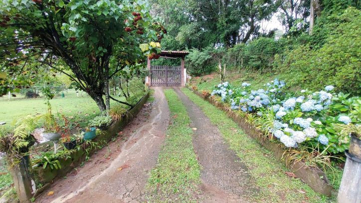 Fazenda à venda com 4 quartos, 450m² - Foto 7