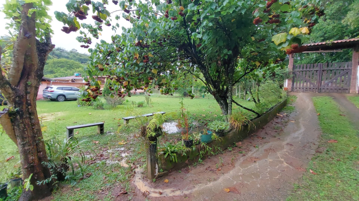 Fazenda à venda com 4 quartos, 450m² - Foto 8