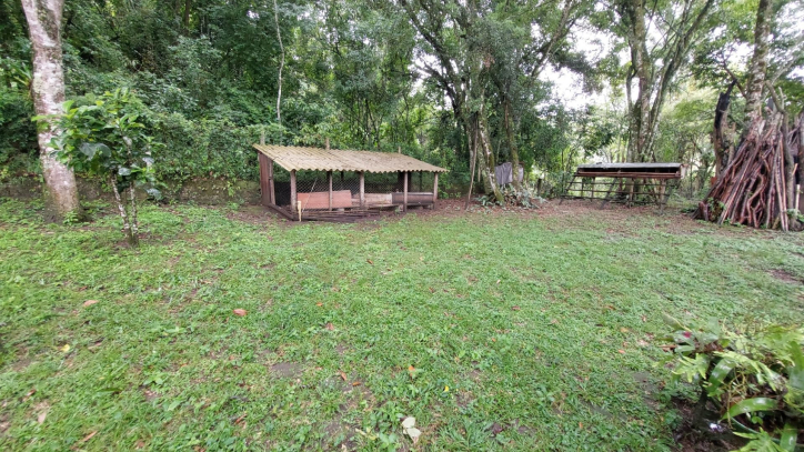 Fazenda à venda com 4 quartos, 450m² - Foto 10