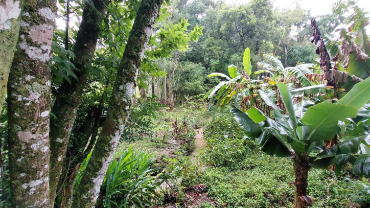 Fazenda à venda com 4 quartos, 450m² - Foto 14