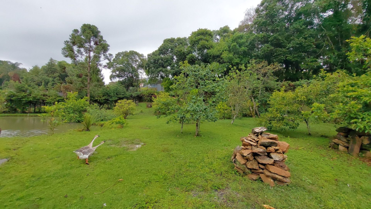 Fazenda à venda com 4 quartos, 450m² - Foto 18