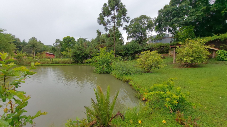 Fazenda à venda com 4 quartos, 450m² - Foto 22