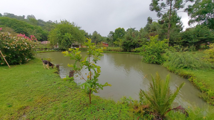 Fazenda à venda com 4 quartos, 450m² - Foto 23