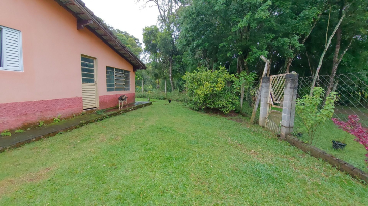 Fazenda à venda com 4 quartos, 450m² - Foto 53