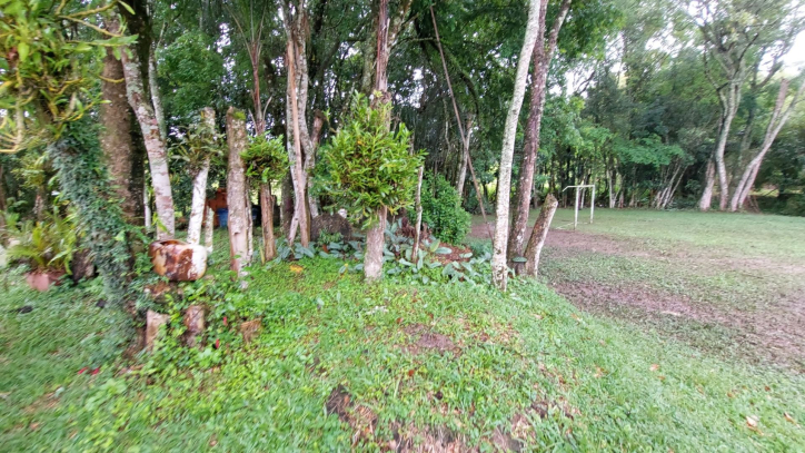 Fazenda à venda com 4 quartos, 450m² - Foto 56