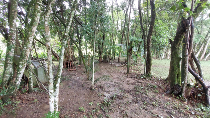 Fazenda à venda com 4 quartos, 450m² - Foto 60