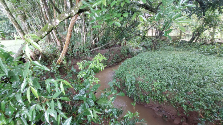 Fazenda à venda com 4 quartos, 450m² - Foto 67