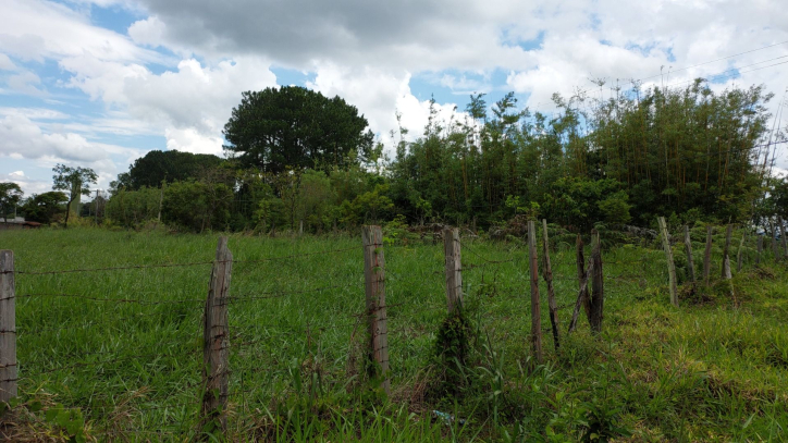 Terreno à venda, 60000m² - Foto 2