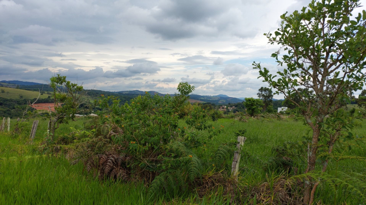 Terreno à venda, 60000m² - Foto 6