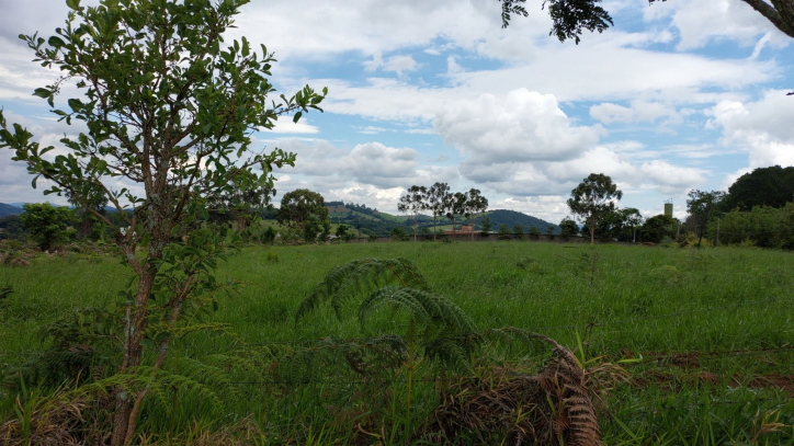 Terreno à venda, 60000m² - Foto 7