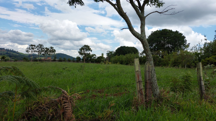 Terreno à venda, 60000m² - Foto 8