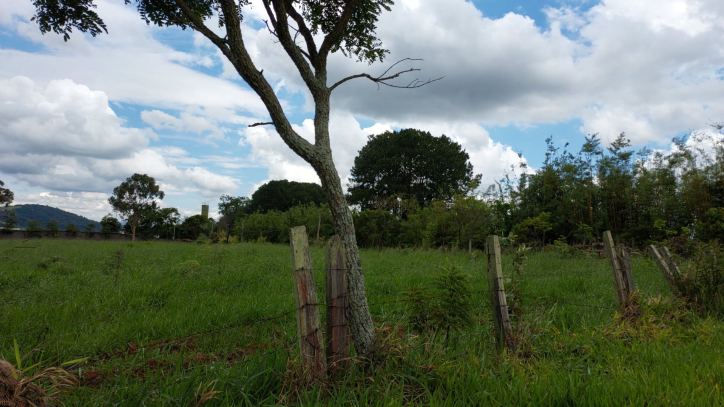 Terreno à venda, 60000m² - Foto 9