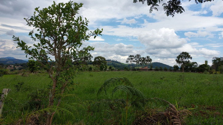 Terreno à venda, 60000m² - Foto 11