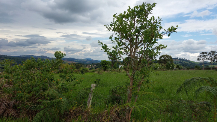 Terreno à venda, 60000m² - Foto 12