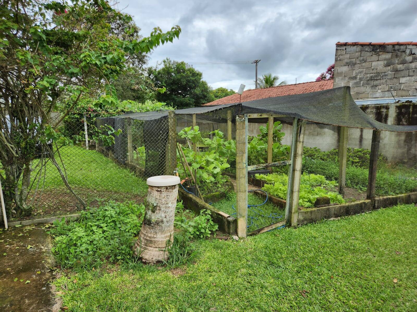 Fazenda à venda com 3 quartos, 219m² - Foto 40