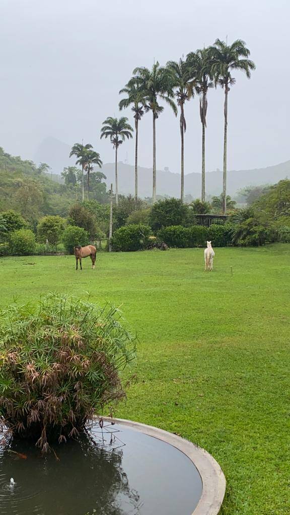 Fazenda à venda com 10 quartos, 785m² - Foto 28