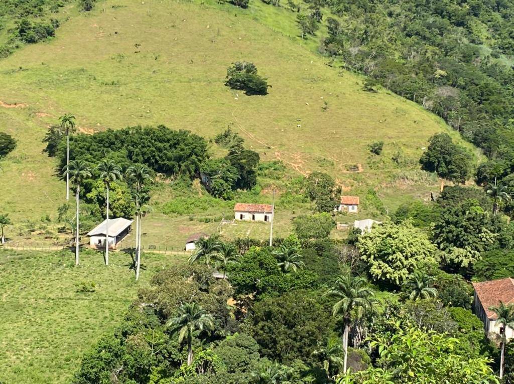 Fazenda à venda com 10 quartos, 785m² - Foto 41