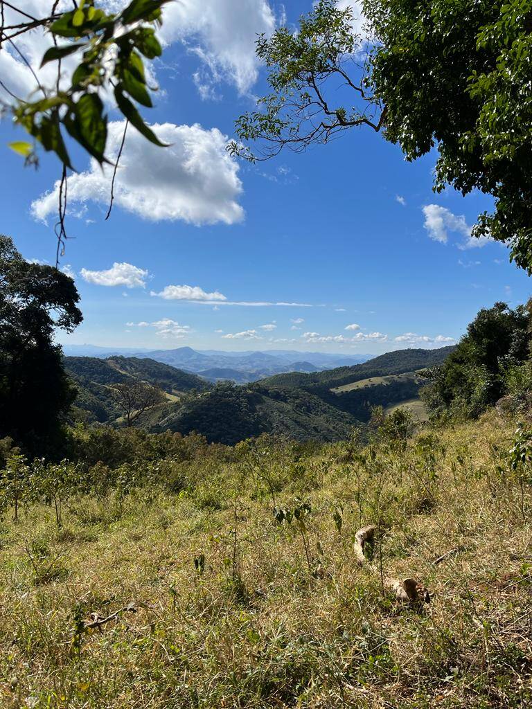 Fazenda à venda com 5 quartos, 350m² - Foto 19