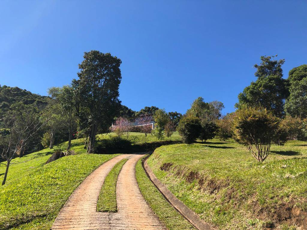 Fazenda à venda com 5 quartos, 350m² - Foto 28