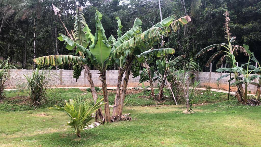 Fazenda à venda com 4 quartos, 300m² - Foto 12