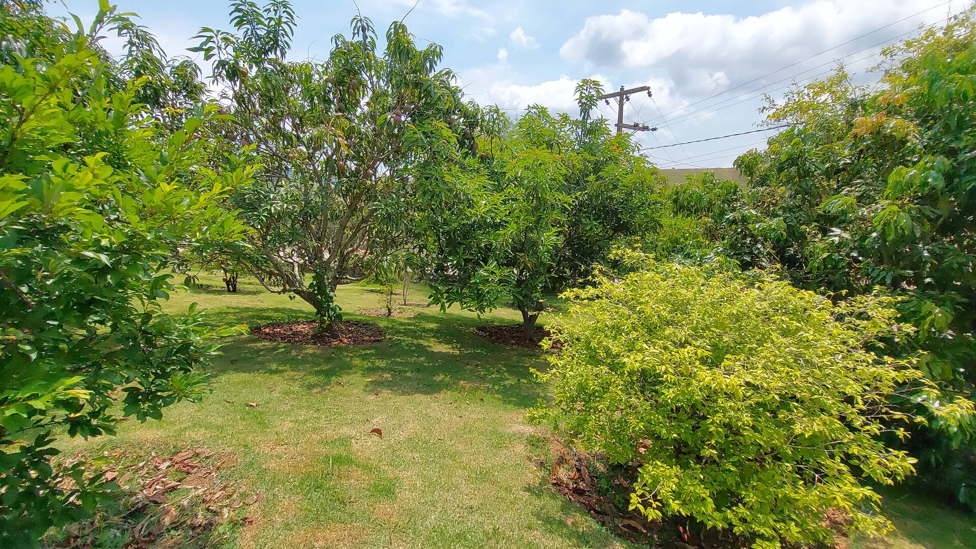 Fazenda à venda com 4 quartos, 272m² - Foto 25