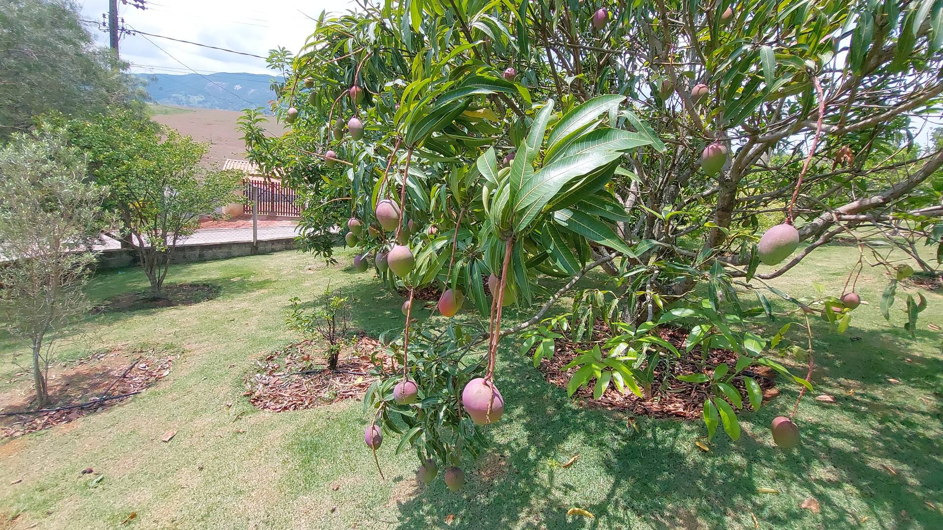 Fazenda à venda com 4 quartos, 272m² - Foto 37