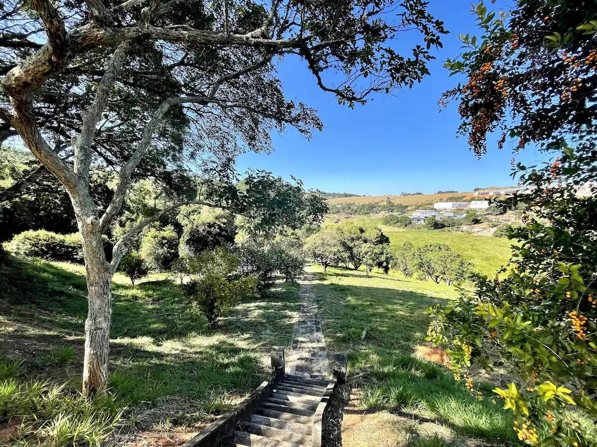 Fazenda à venda com 8 quartos, 34463m² - Foto 38