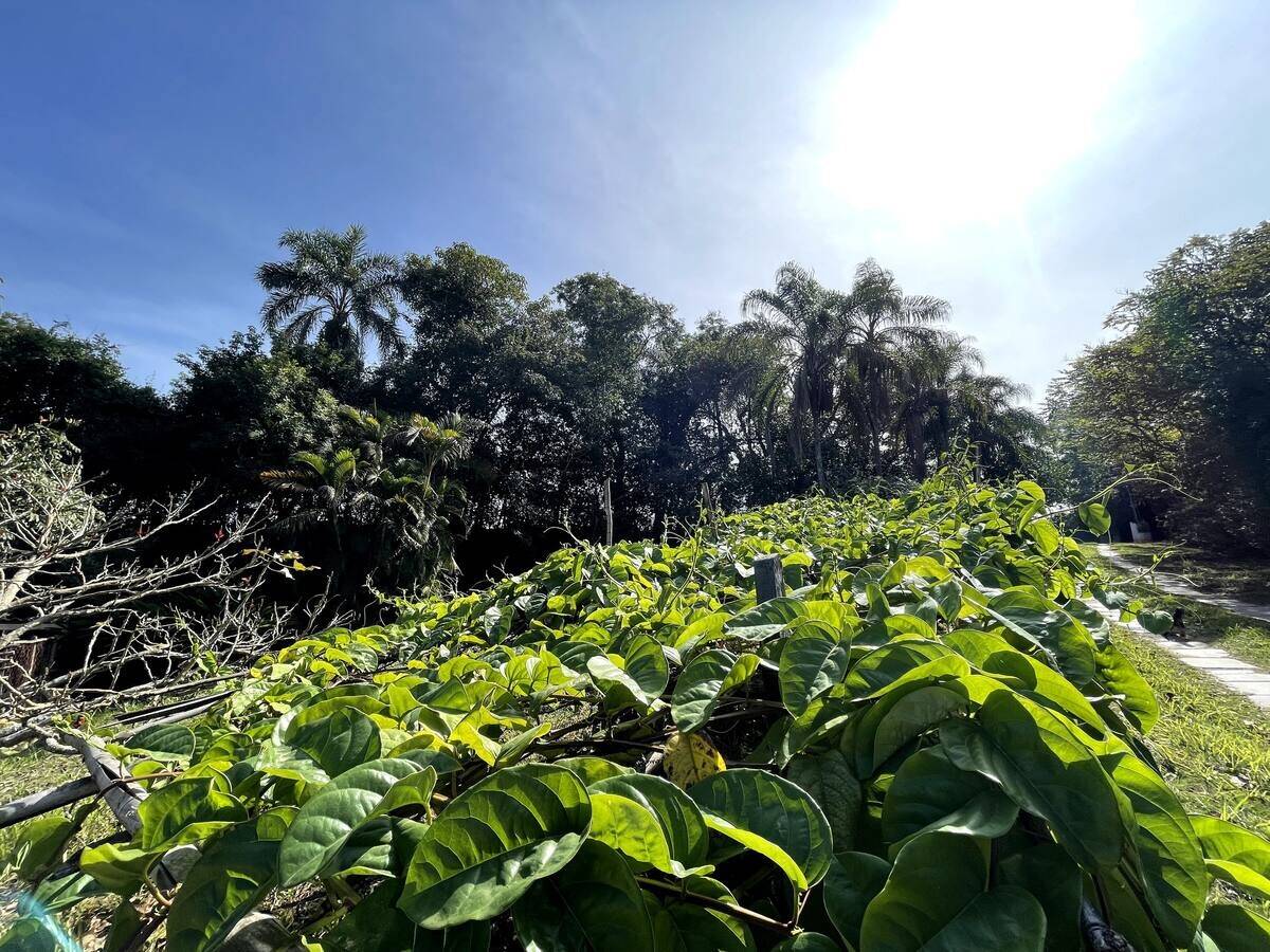 Fazenda à venda com 8 quartos, 34463m² - Foto 39