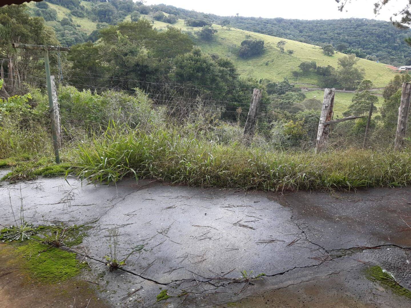 Fazenda à venda com 2 quartos, 67000m² - Foto 6