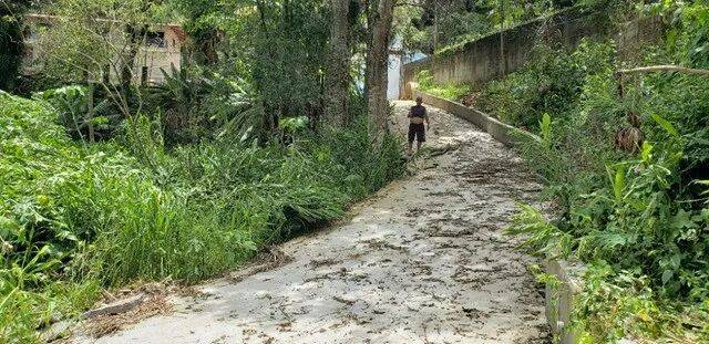 Fazenda à venda com 2 quartos, 4050m² - Foto 3